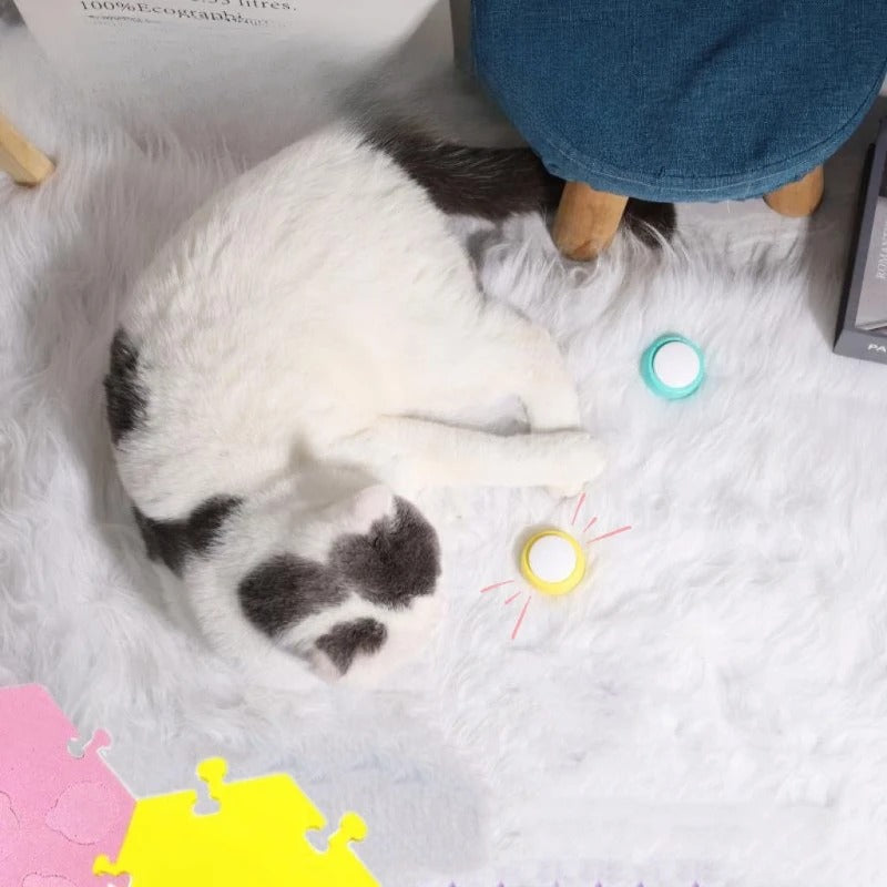 TalkMat™ – Alfombrilla con Botones de Comunicación para Mascotas